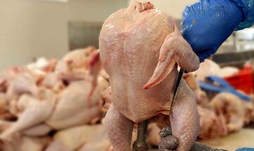  جزییات تغییر قیمت مرغ
